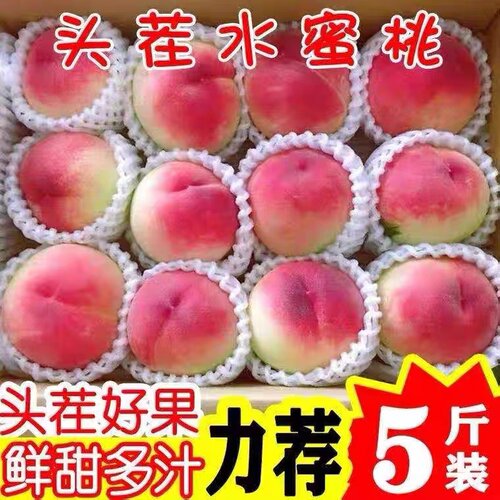 现摘水蜜桃5斤装新鲜坏果包赔