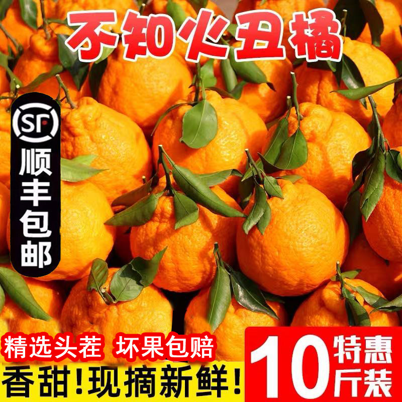 丑八怪丑橘耙耙柑橘子新鲜10斤蜜橘桔子当季时令水果整箱粑粑柑橘