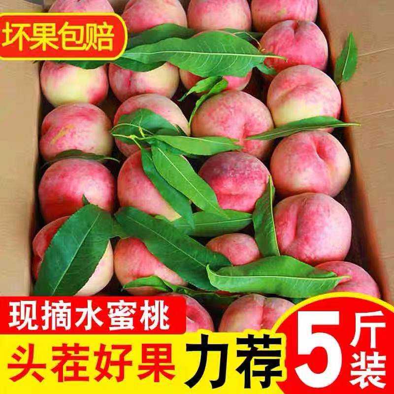 现摘现摘新鲜桃子水蜜桃9斤脆桃毛桃当季孕妇时令水果5斤整箱包邮
