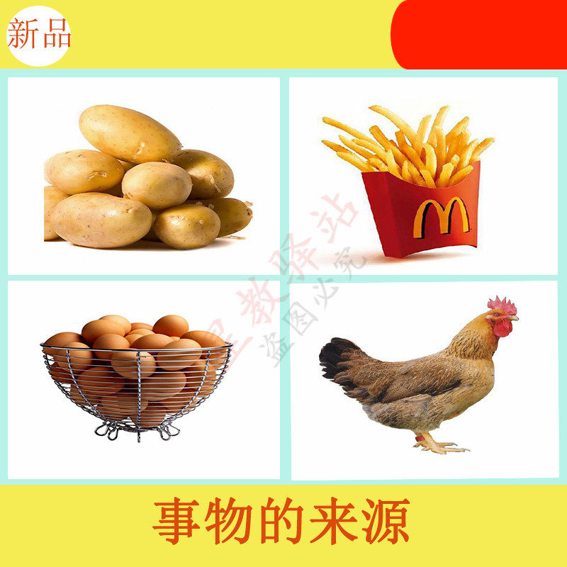 事物的来源配对认知卡片早教自闭孤独症发育迟缓aba语言康复教具