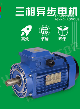 雨田电机250瓦油雾净化器机械设备电机,YE26334立式B5B14减速机