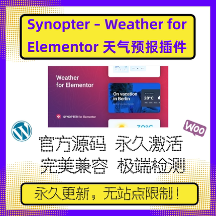 Synopter Weather for Elementor 插件 WP天气插件 官方原版 兼容