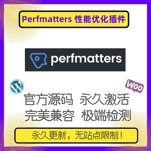 Perfmatters 插件 WP性能优化插件 Wordpress网站加速 性能优化
