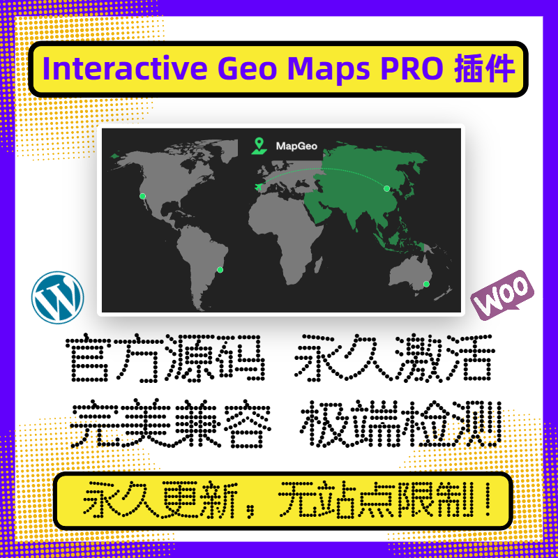 Interactive Geo Maps PRO 插件 WP地图插件 交互式地图 官方原版