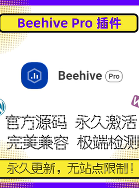 Beehive Pro 插件 WP数据分析插件 WP数据仪表盘 GA数据分析插件