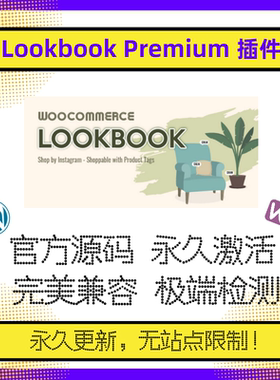 WooCommerce Lookbook Premium插件 WP可视化组合销售插件 官方版