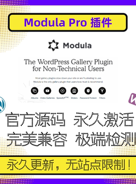 Modula Pro 插件 WP插件 WP画廊插件 自定义网格插件 WP网格插件