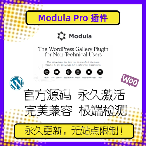 Modula Pro 插件 WP插件 WP画廊插件 自定义网格插件 WP网格插件