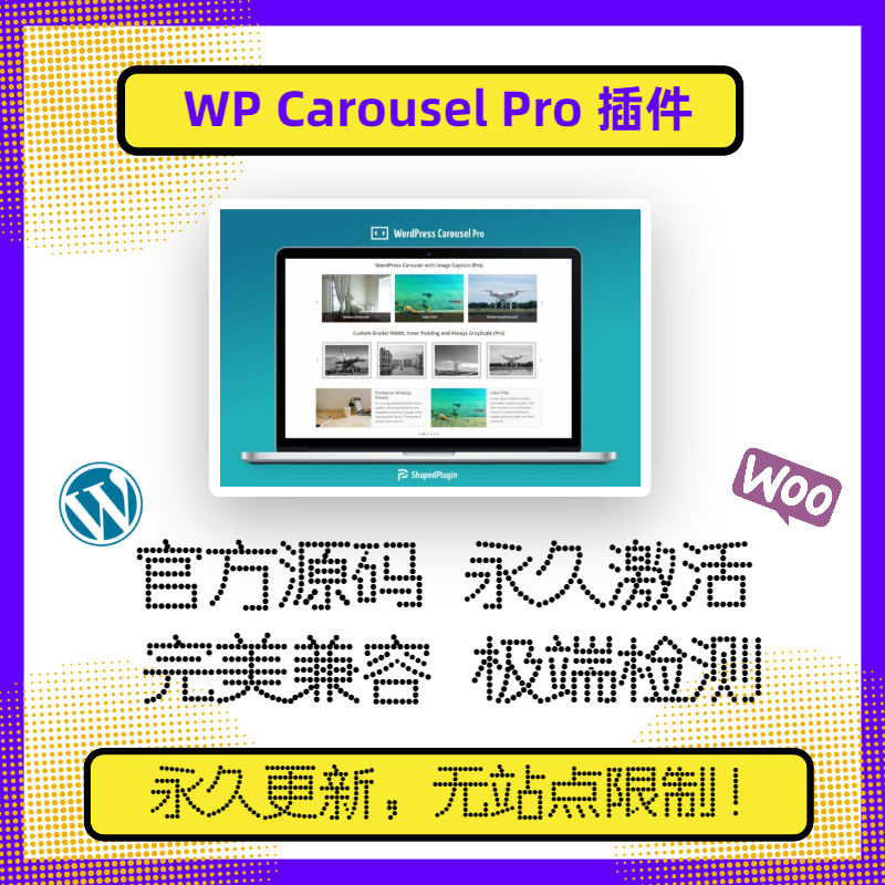 WP Carousel Pro 插件 WP画廊插件 WP画廊 官方原版源码