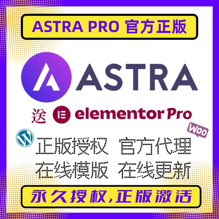 Astra PRO主题 Wordpress主题 永久授权 WP高级版主题 官方正版