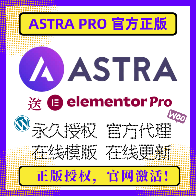 Astra PRO主题 Wordpress主题 永久授权 WP高级版主题 官方正版 商务/设计服务 设计素材/源文件 原图主图