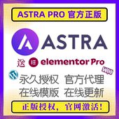 永久授权 Wordpress主题 WP高级版 主题 Astra 官方正版 PRO主题