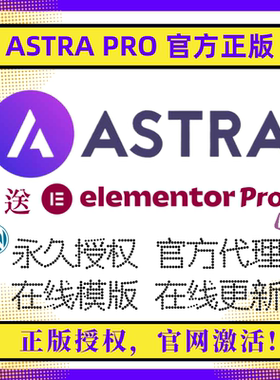 Astra PRO主题 Wordpress主题 永久授权 WP高级版主题 官方正版