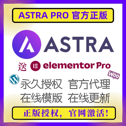 Astra PRO主题 Wordpress主题 永久授权 WP高级版主题 官方正版