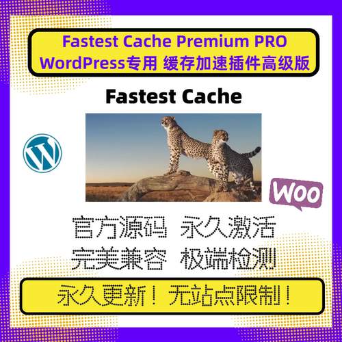 WP Fastest Cache 加速插件 Wordpress 缓存加速 WP插件 官方激活