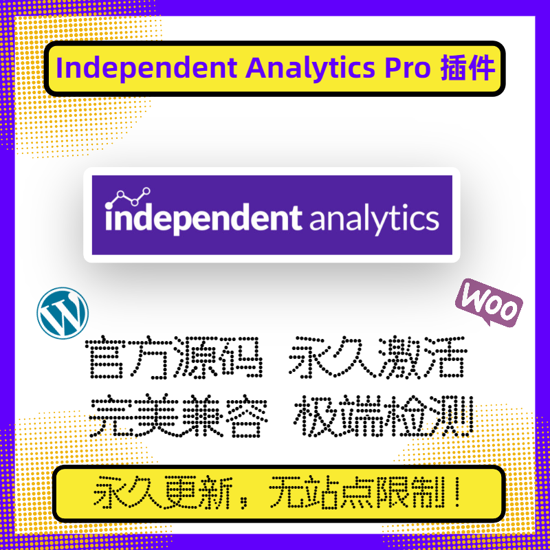 Independent Analytics Pro 插件 WP数据分析 WP数据仪表盘 官方