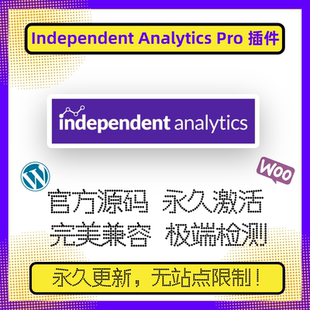 Independent Analytics Pro 插件 WP数据分析 WP数据仪表盘 官方
