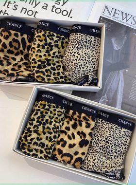 25973新心豹纹 夏季冰丝字母女士短裤轻奢网红抑菌