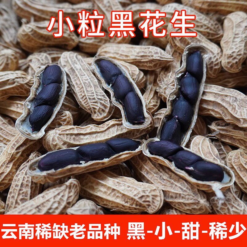 云南富硒黑花生小颗粒黑皮花生