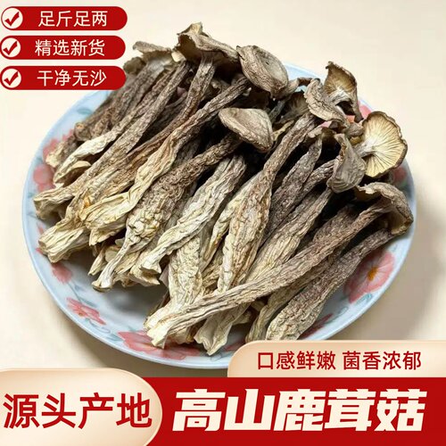云南丽江产地直发鹿茸菇500g袋装