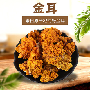 云南野生干金耳干货100g非新鲜金耳菌椴木金耳菌菇黄耳菌黄金耳大