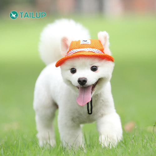 头套TAILUP/翘尾巴猫狗帽子透气