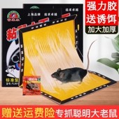 老鼠粘板大老鼠粘强力粘鼠板抓捉黏沾老鼠贴家用灭鼠工具捕鼠神器