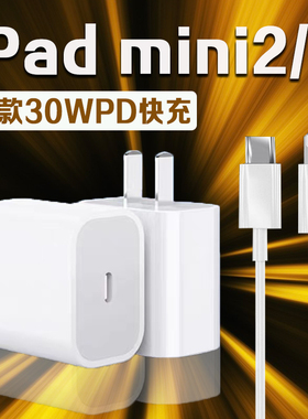 适用苹果iPadmini3充电器原装30WPD快充ipadmini2充电器7.9英寸iPadMini平板充电器ipadmini3充电头加长2米线