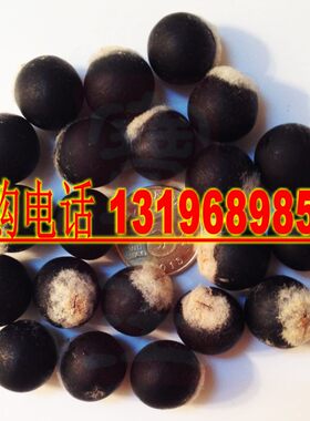 野生无患子种子油患子肥珠子无患菩提佛珠去皮净籽黄果树种子