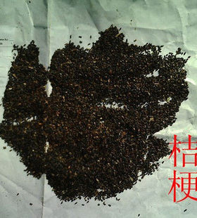 桔梗种子 中草药种子 包袱花-铃铛花-僧帽花-中药药材种子