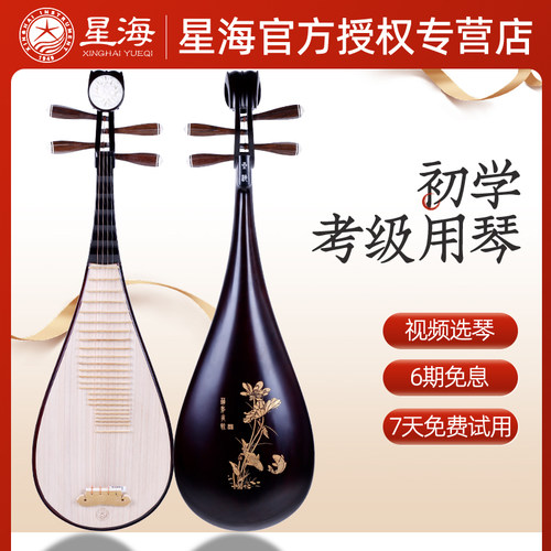 星海儿童琵琶乐器初学者成人初学入门硬木考级专用琵琶琴琵笆 - 封面