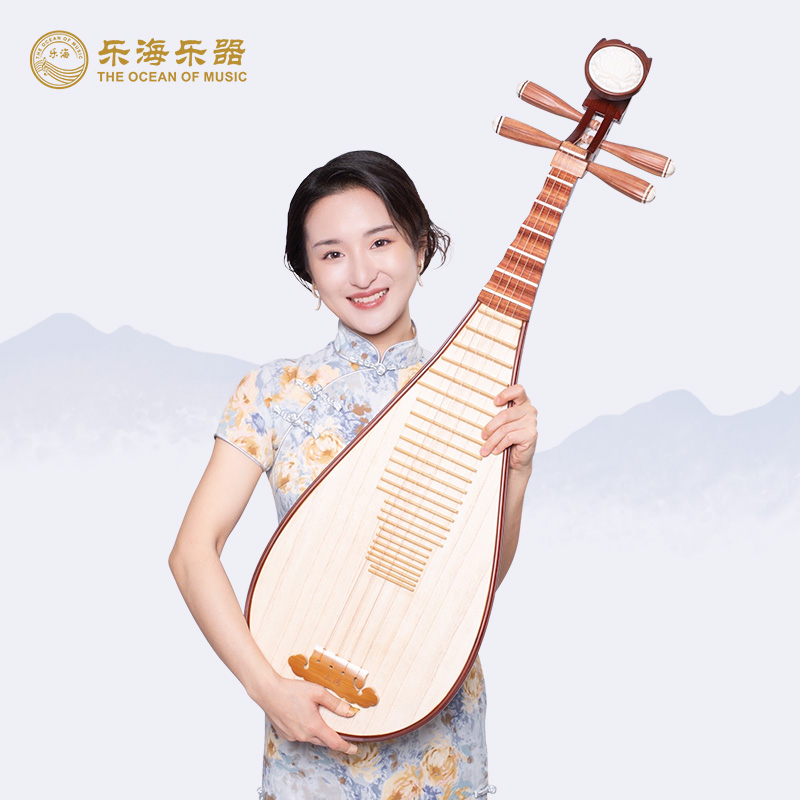 乐海 琵琶乐器专业考级奥氏黄檀木材质原木色木相酸枝木琵琶DJ14