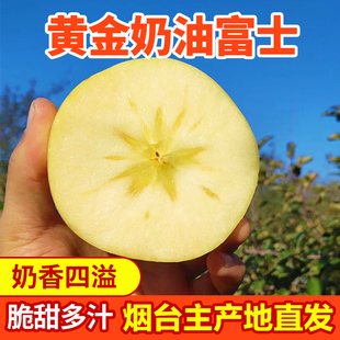 山东烟台黄金奶油富士苹果新鲜水果10斤整箱黄金当季脆甜奶香栖霞