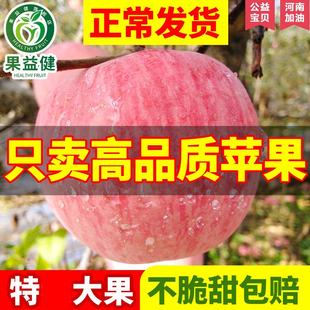 正宗山东烟台栖霞红富士大苹果礼盒新鲜水果10斤带当季整箱平脆甜