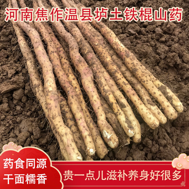 解农温县铁棍山药河南焦作特产垆土怀山药新鲜正宗铁淮山药面糯60
