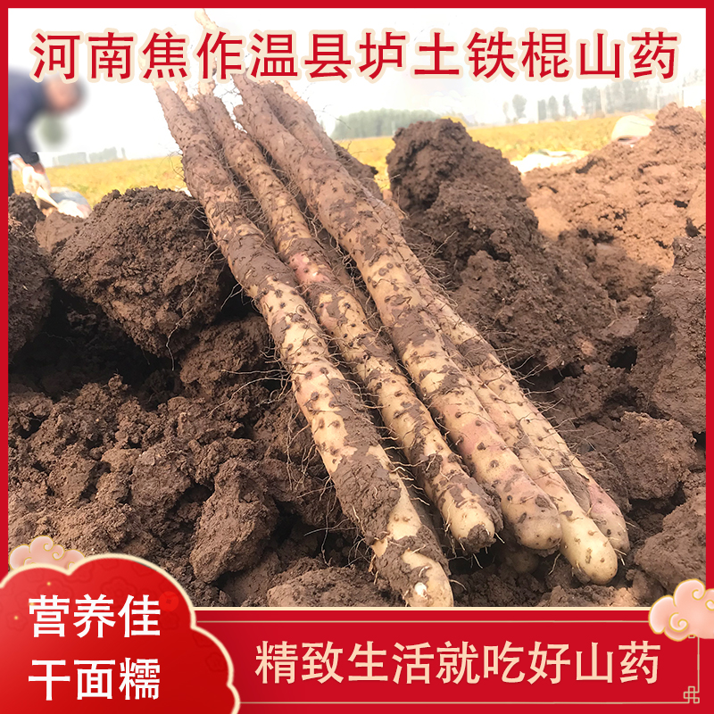 解農(nóng)溫縣壚土鐵棍山藥正宗河南省焦作特產(chǎn)淮山懷山藥5斤裝 尊享款