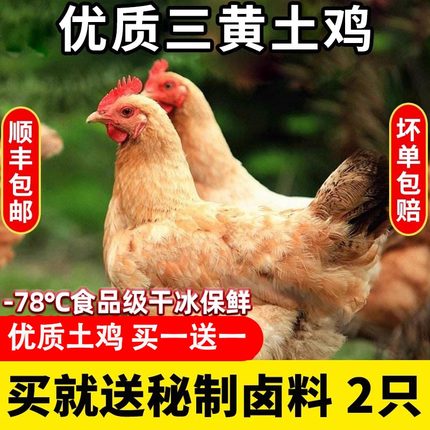 【顺丰包邮】三黄鸡新鲜冷冻正宗土鸡白条鸡整只童子鸡走地鸡