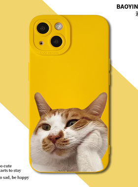 猫咪适用iPhone17Pro手机壳12橘16air猫15苹果14por稀奇13mini古怪11搞怪趣味xsmax个性xr小猫x黄色8p套7潮i
