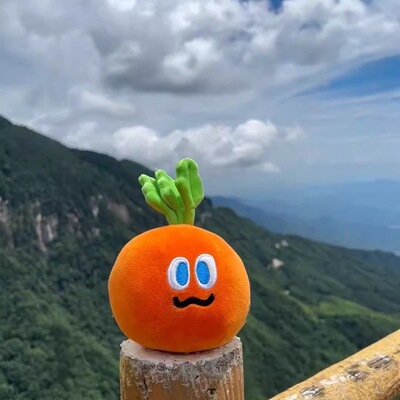 魔魔胡胡胡萝卜挂件钥匙扣卜卜玩偶抱枕毛绒玩具娃娃五月天小公仔