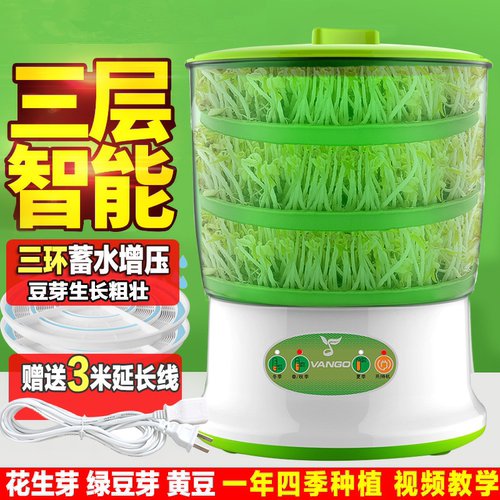 容威豆芽机四季可以绿黄豆芽