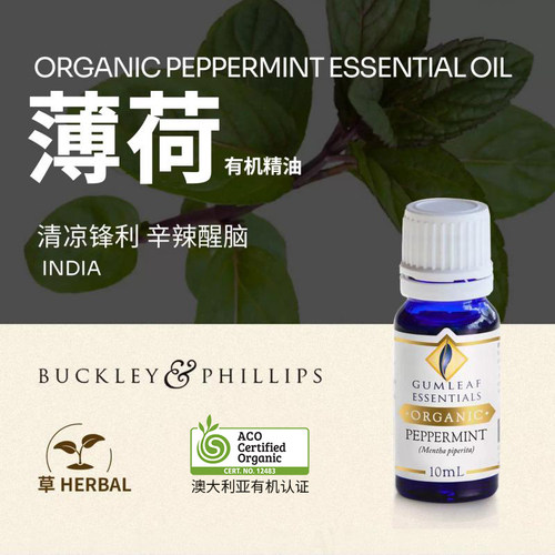 澳洲BP精油薄荷有机精油10mL