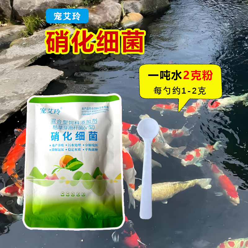 硝化细菌养殖净水养鱼用品活菌净化水质降亚硝酸盐氨氮鱼池净水剂