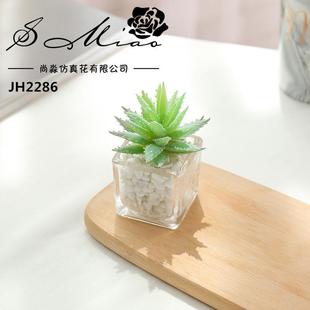 四方玻璃盆多肉创意盆景沙白沙境摆件绿植家居仿真跨黄植小物