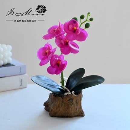 仿真玄花盆景设仿真蝴蝶兰小盆栽假花客厅桌面关卉花绿植摆装饰