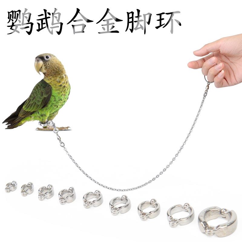 不锈钢鹦鹉防飞牵引绳链子不锈钢螺纹手环合金脚环宠物鸟类用品