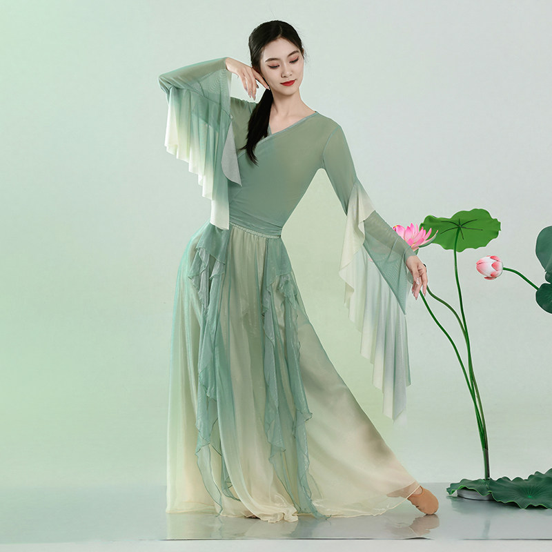 古典舞蹈服装女飘逸渐变中国舞舞蹈服身韵上衣阔腿裤演出练功服女