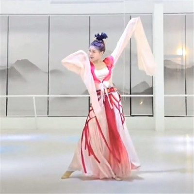 新款古典舞汉唐中国风水袖舞蹈服