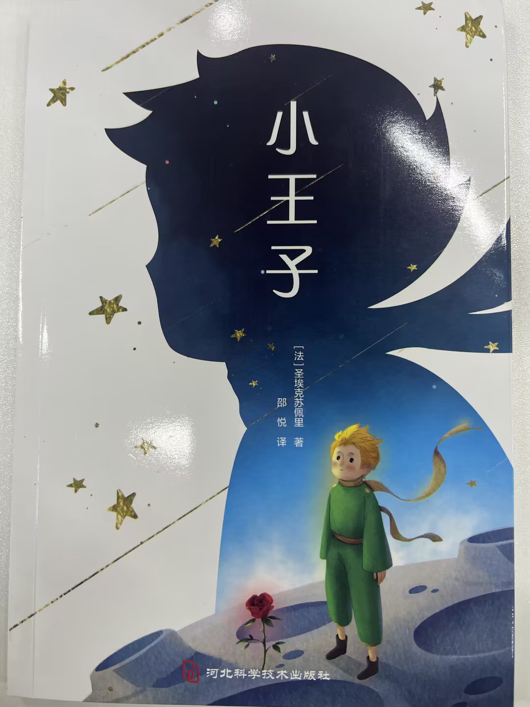 【少年得到】小王子 小学必读名著