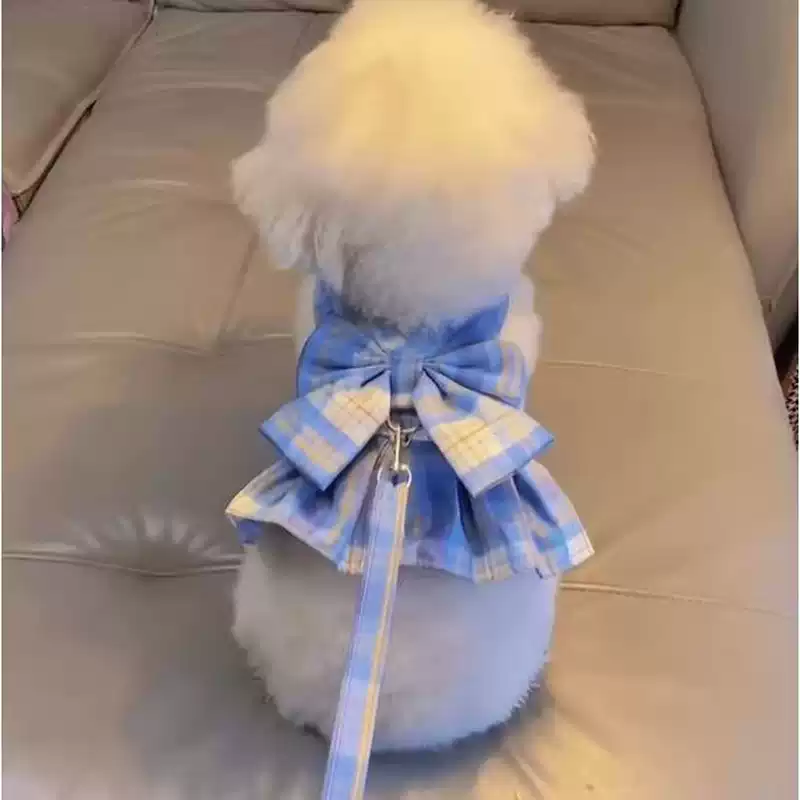 狗狗牵引绳夏季薄款泰迪比熊博美