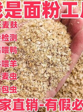 粗麦麸饲料批发小麦麸皮喂鸡鸭鹅面包虫钓鱼打窝饲料麦麸子